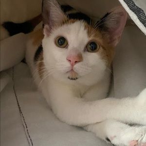 Meet your Posher, Elaine